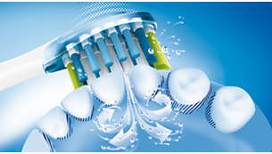 Dynamic cleaning action for better oral health