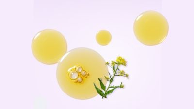 丰富的油脂搭配体系