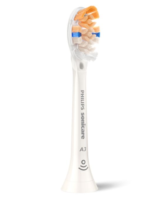 Alternative Product Photograph