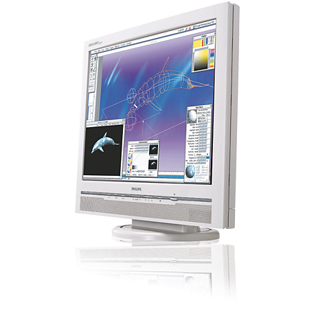 200P4VG/93  Brilliance 200P4VG LCD monitor