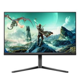 Fast IPS Gaming monitor