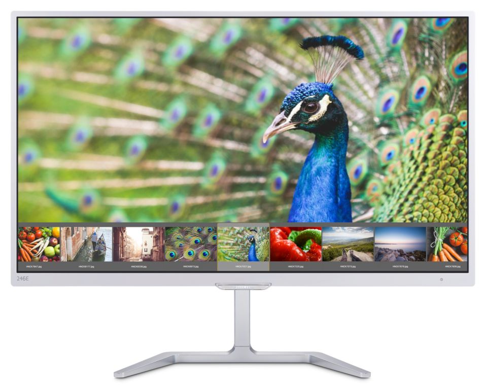 鲜艳、逼真的色彩