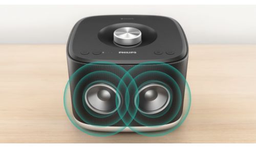 2 x 2,5 inch drivers met baspoort voor kamervullend geluid