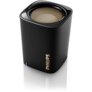 BT100B wireless portable speaker