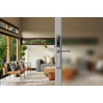 Cuerpo minimalista de 43 mm*