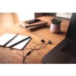 Todo lo que necesitas