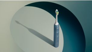 Guided brushing sessions