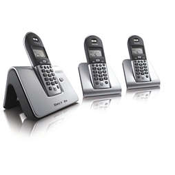 DECT2113S/18