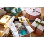 Baby’s first friend