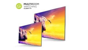 Multiroom client : permet de visionner la télévision en direct et des enregistrements à partir d'un autre téléviseur