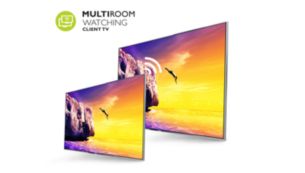 Multiroom client — exibição de TV ao vivo e gravação de outra TV