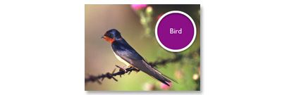 Wake up to sounds of nature and start a fresh new day