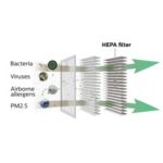 Breathe only healthy air in your car