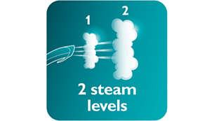 2 steam levels