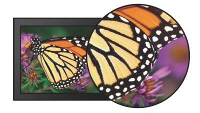 16:9 Full HD display for crisp, detailed images