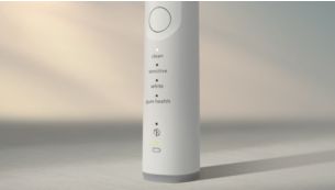 21 天的正常刷牙需求