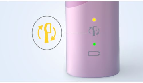 So wissen Sie immer, wann Sie die Bürstenköpfe austauschen sollten