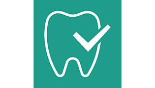 Unterstützt die natürliche Form von Gaumen, Zähnen und Zahnfleisch
