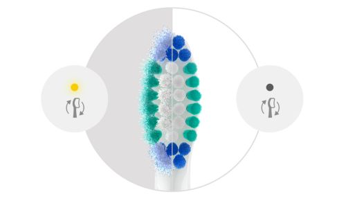 Keep brushing your best with BrushSync reminders