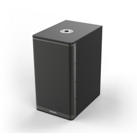 CSS1622/93  卡拉 OK 扬声器