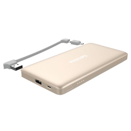 DLP6101GD/11  USB power bank