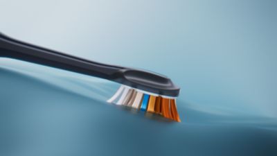 The bristle shape designed for your smile