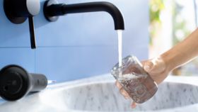 Cordless Power Flosser 3000