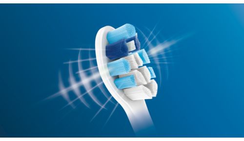 Für gesünderes Zahnfleisch