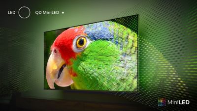 Technologie Quantum Dot pour des couleurs et un contraste incroyables.