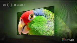 LED 4K UHD MiniLED Android TV 55PML9507/56 | Philips