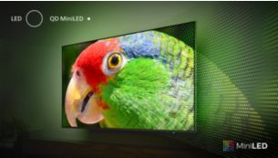 Televisor mini-LED acessível. Brilhante e económico.