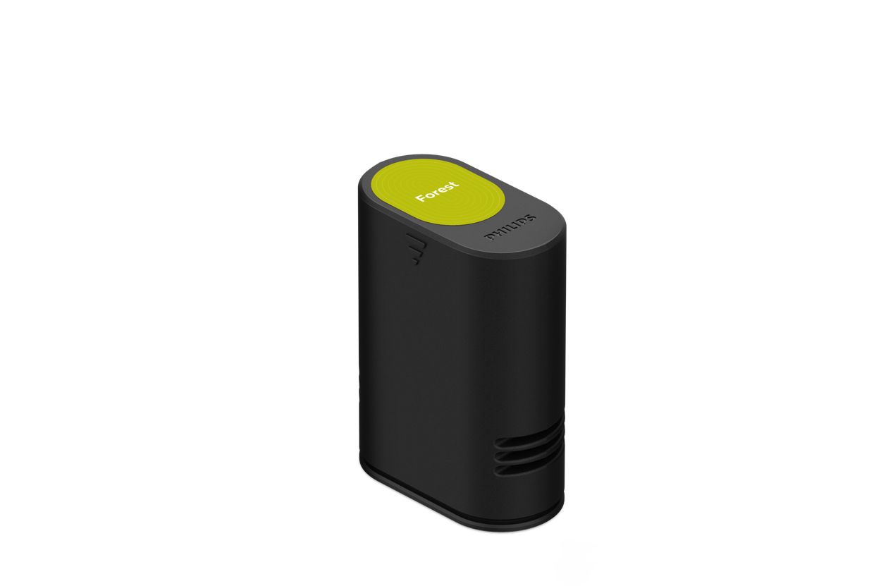 The scent of healthy air
