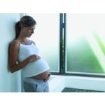 Absorbs dampness, dust-free