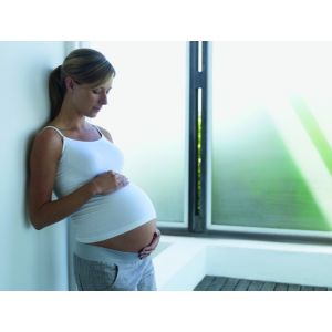 Absorbs dampness, dust-free