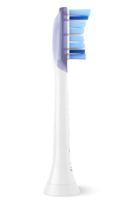 La tête de brosse pour des gencives plus saines