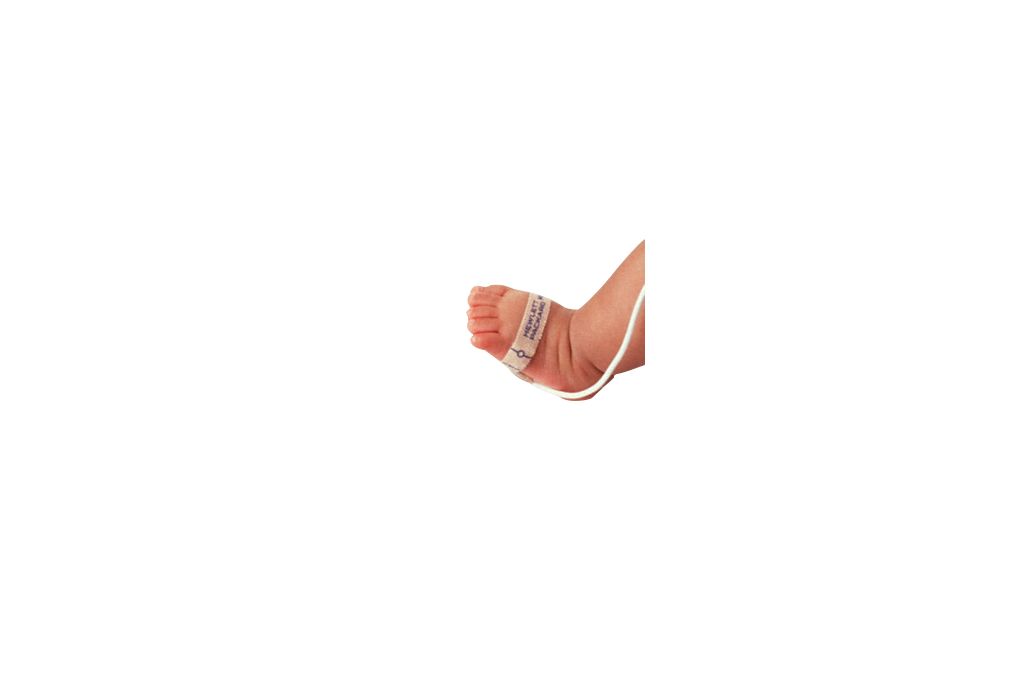 Standard product photograph