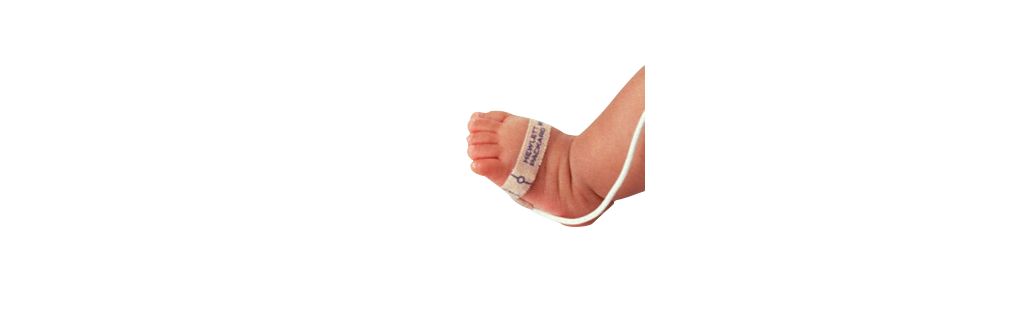 Standard product photograph