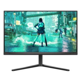 Fast IPS Gaming monitor
