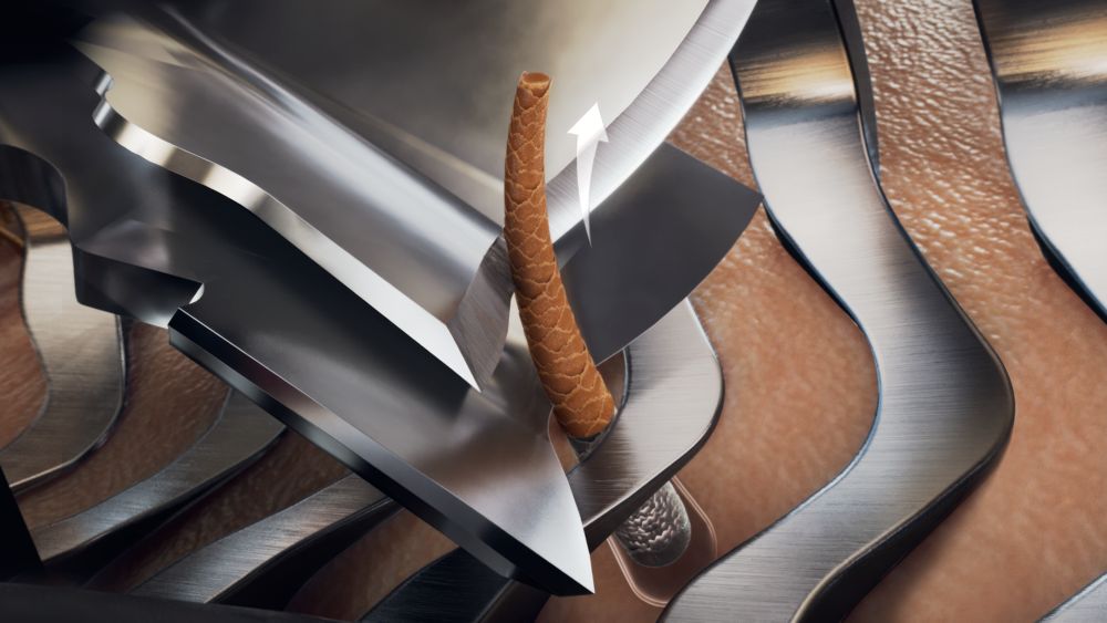 Root-level closeness, day-long result