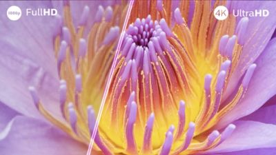 Immerse yourself in what you love. Ambilight TV.