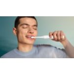 Essential Care for healthy teeth and gums