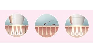 Disfruta de una piel suave cada d&iacute;a