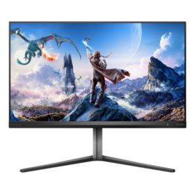 Fast IPS Gaming monitor
