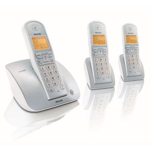 Cordless telephone