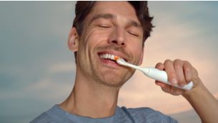 Guided brushing sessions