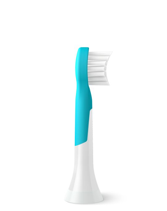 Alternative Product Photograph
