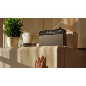 The classic companion