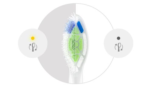 Putzen Sie weiterhin mit optimaler Leistung dank Erinnerungsfunktion zum Austauschen des Bürstenkopfes