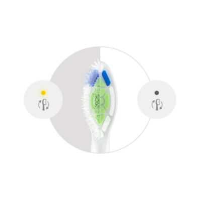 Sonicare 5000 7000_Cairo Feature Image (PPL) W2