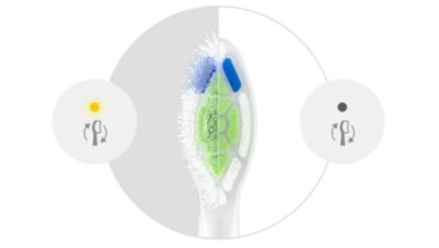 Udržujte si co nejlepší úroveň čištění zubů s&nbsp;připomínkou výměny hlavice kartáčku